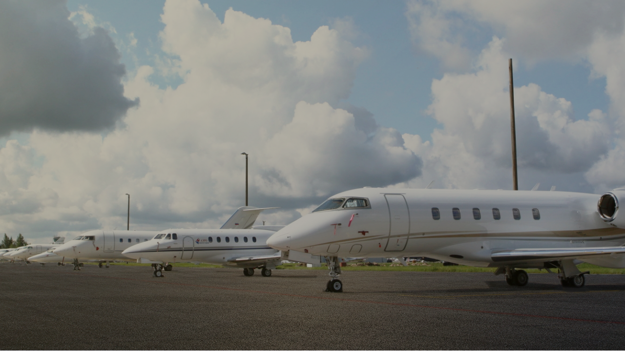 Business and VIP flights